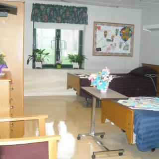 A clean and well-lit hospital room with a bed, table, and decorative plants.