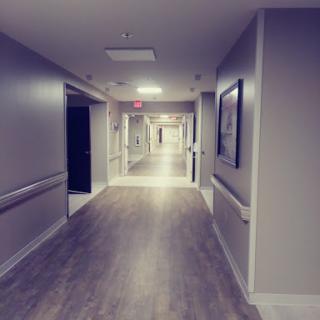 A quiet and well-lit hallway in a hospital, showcasing the serene environment typical of healthcare facilities.