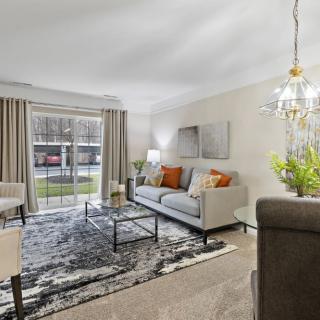 A well-lit living room featuring a comfortable sofa, a coffee table, and elegant decor.