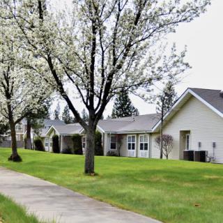 A peaceful suburban neighborhood with blooming trees and a neatly maintained sidewalk.