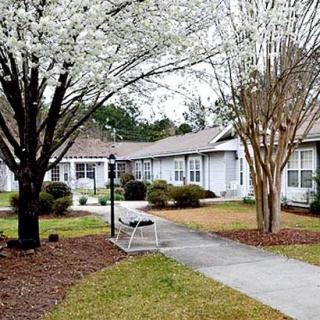 A serene residential area with blooming trees and a peaceful walkway.