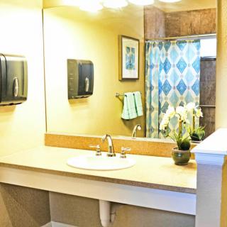A well-lit bathroom featuring a large mirror, sink with a faucet, and decorative plants on the countertop.