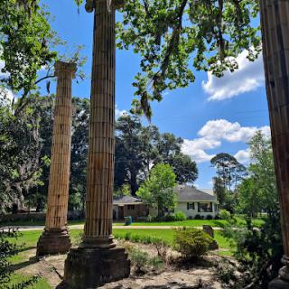 A serene view featuring ancient columns amidst lush greenery and a clear blue sky.