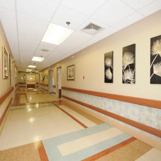 A well-lit, clean hospital hallway featuring decorative artwork on the walls.