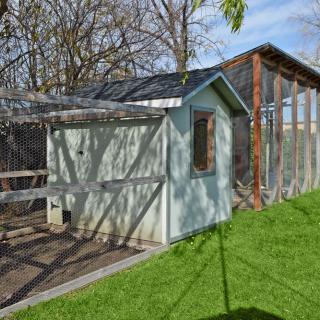 A chicken coop with an enclosed area, situated on a grassy yard under a clear blue sky.