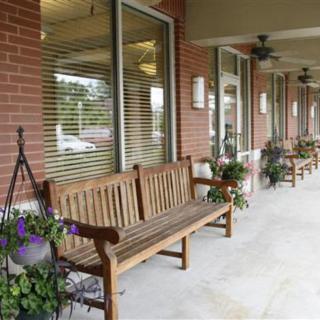 A row of wooden benches outside a brick storefront with windows and potted plants.