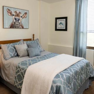 A cozy and well-decorated bedroom featuring a bed with blue patterned bedding, complemented by animal-themed artwork on the walls.