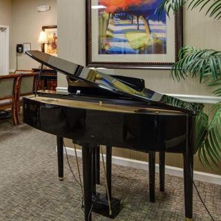 A grand piano in a well-decorated room with artwork and greenery.
