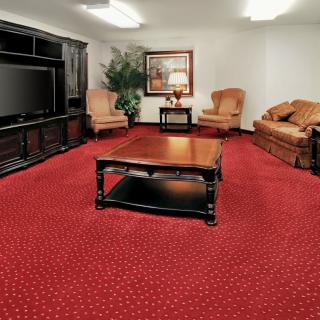 A cozy living room with red carpeting, featuring a large television, a dark wooden coffee table, comfortable armchairs, a sofa, and decorative elements like a lamp and an indoor plant.