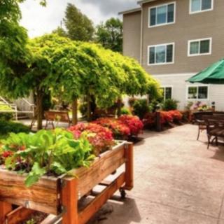 A serene outdoor garden with raised vegetable beds, vibrant flowers, and a patio area next to a building.