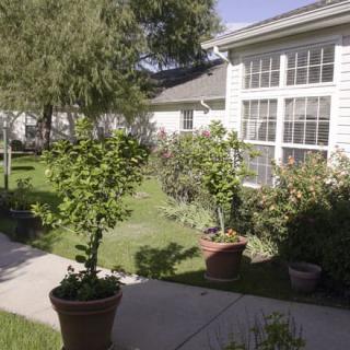 A sunny garden with potted plants lining a pathway in front of a house.