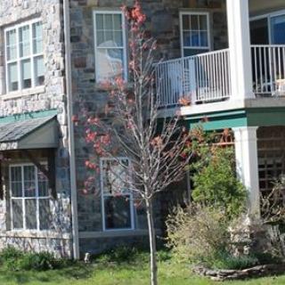 A residential building with a stone exterior, featuring balconies, windows, and surrounding greenery.