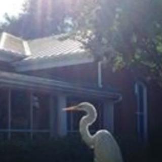 A heron statue stands in sunlight near a building.