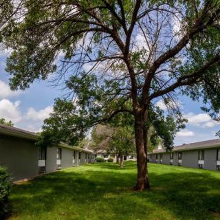 A scenic view of a large tree on a grassy lawn surrounded by buildings under a partly cloudy sky.