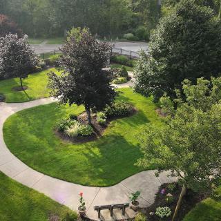 A beautiful garden with winding pathways and lush greenery.