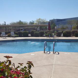 A sunny day by an outdoor swimming pool, perfect for relaxation.