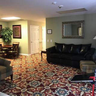 A cozy living room with a patterned carpet, green walls, a black sofa, and an armchair. The space includes a wooden table, indoor plants, and a mirror on the wall.