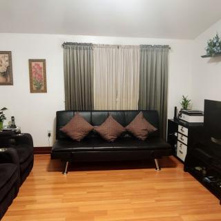A cozy living room with a black sofa, cushions, and elegant curtains.