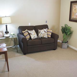 A cozy living room corner with a sofa, side table, lamp, and plants.