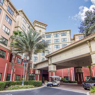 A welcoming entrance to a hotel, featuring palm trees and a clear blue sky.