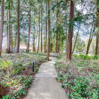 A serene pathway through a lush forest.