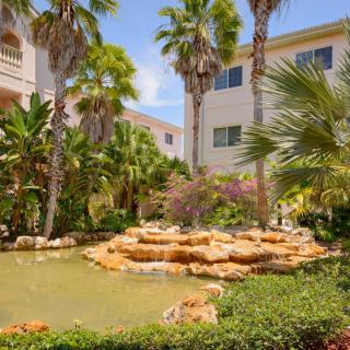 A tranquil garden with a pond surrounded by tropical plants and palm trees near a building.