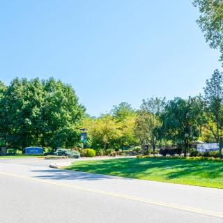 A scenic road lined with lush green trees on a clear, sunny day.