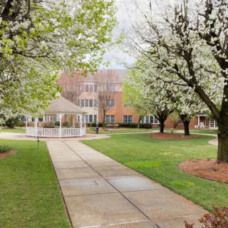 A picturesque spring scene with blossoming trees lining a pathway leading to a gazebo in front of a building.