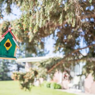 A colorful birdhouse hangs from a tree branch in a garden setting.