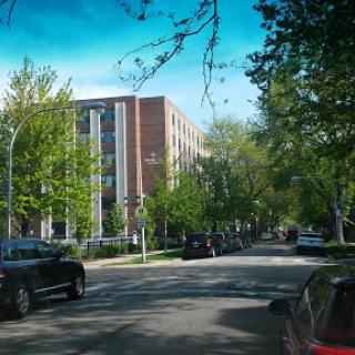 A peaceful urban street lined with trees and parked cars, featuring a multi-story building in the background.