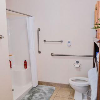 An accessible bathroom with a shower and grab bars.