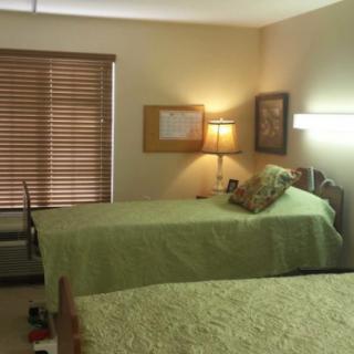 A cozy bedroom with two twin beds dressed in green bedding, featuring warm lighting from a bedside lamp and window blinds.