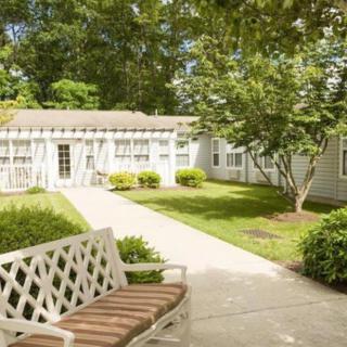 A serene garden with a bench and lush greenery surrounding a walkway.