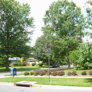 A quiet neighborhood street lined with trees and a blue mailbox.