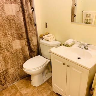 A cozy bathroom with a toilet, sink, and shower curtain.