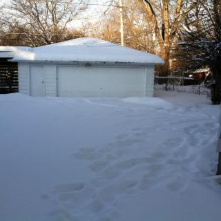 A snowy backyard with footprints leading to a garage on a winter day.