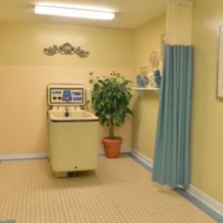 A vintage laundry room with a retro washing machine and potted plant.