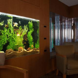 A cozy waiting area featuring a large aquarium with vibrant plants and fish.