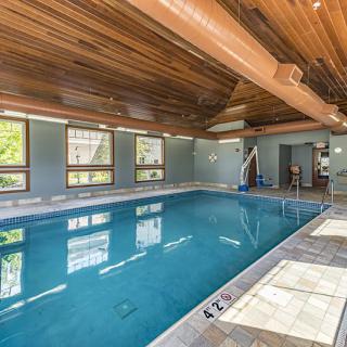 A serene indoor swimming pool with a wooden ceiling and large windows allowing natural light to fill the space.