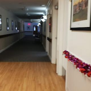 A decorated hallway featuring vibrant artwork and soft lighting.