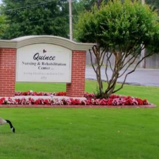 A well-maintained lawn with a brick sign for a training and rehabilitation center, surrounded by flowers and greenery.