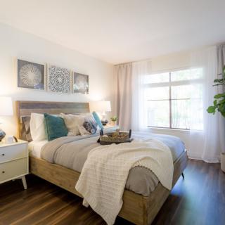A cozy and modern bedroom featuring a stylish bed, decorative pillows, and ample natural light.