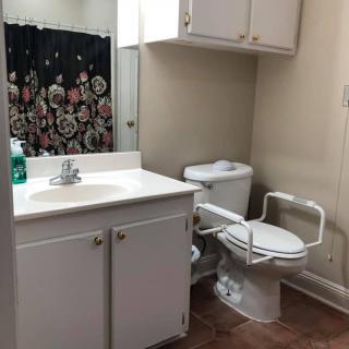 A bathroom with a sink, toilet with grab bars, and a decorative shower curtain.