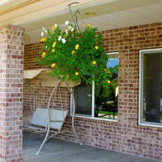 A cozy patio area with a swing and a hanging basket filled with vibrant flowers.
