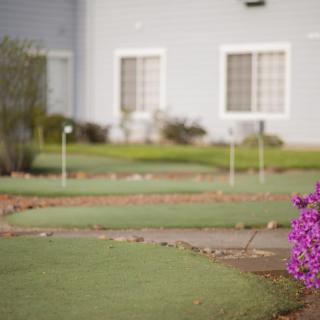Outdoor mini golf course with blooming flowers nearby.