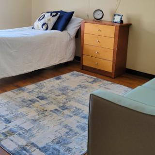 A cozy and minimalist bedroom featuring a bed with decorative pillows, a wooden dresser, and a stylish rug.