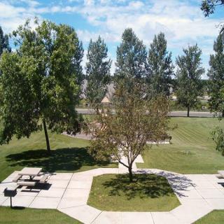 A serene park with picnic tables, lush green grass, and tall trees under a blue sky.