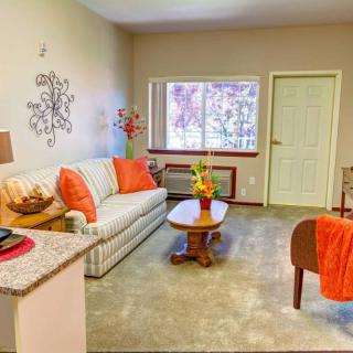 A cozy living room with orange accents and a comfortable sofa.