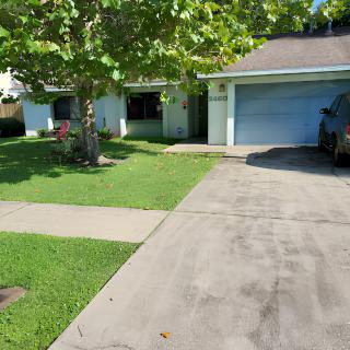A suburban house with a tree and driveway leading to a garage.