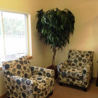 A cozy corner featuring two patterned chairs and a tall indoor plant beside a window.